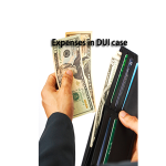 Expenses in DUI case