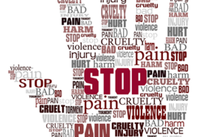 Domestic Violence Legal Services