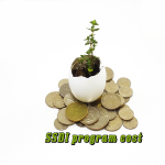 SSDI program cost