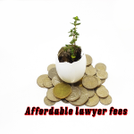 Affordable lawyer fees