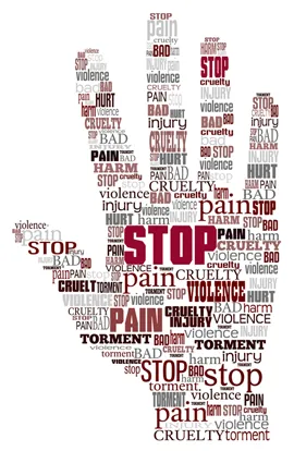 Domestic Violence Legal Services