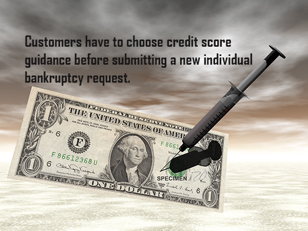 Bankruptcy filling without an attorney
