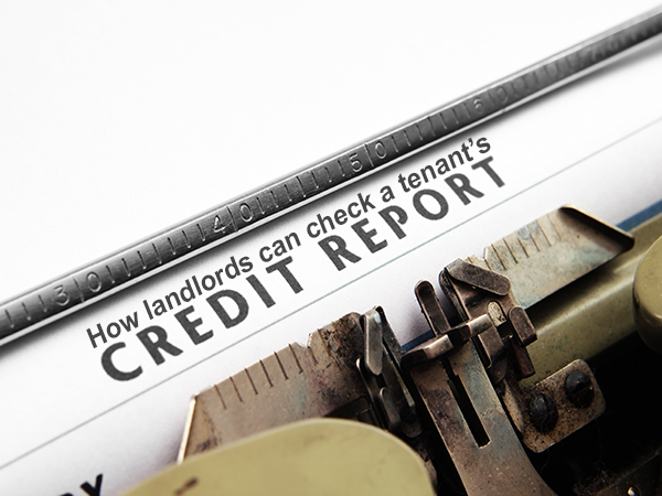 How landlords can check a tenant’s credit report?