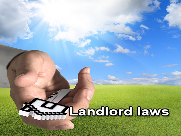 Basic landlord laws in US