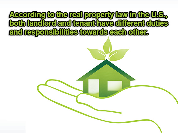 Landlord and Tenants: Roles and responsibilities