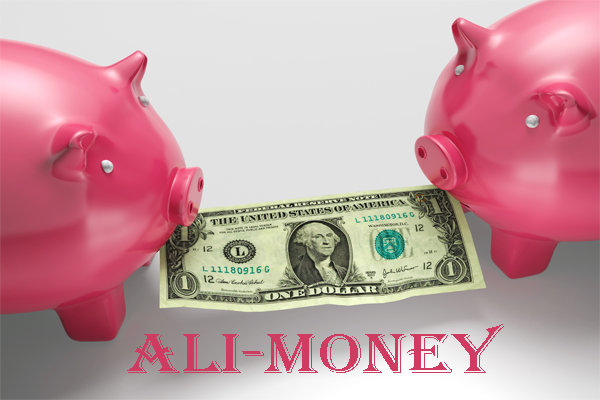 Legal Aid For Alimony