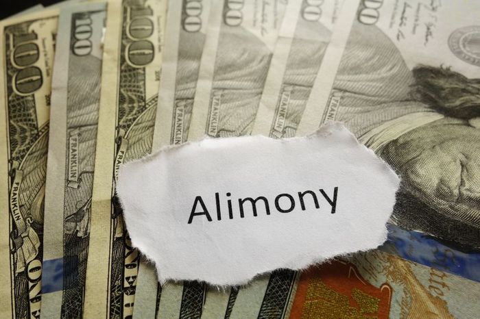 Alimony Legal Issue?