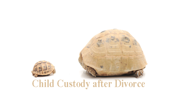 Looking For Divorce And Custody